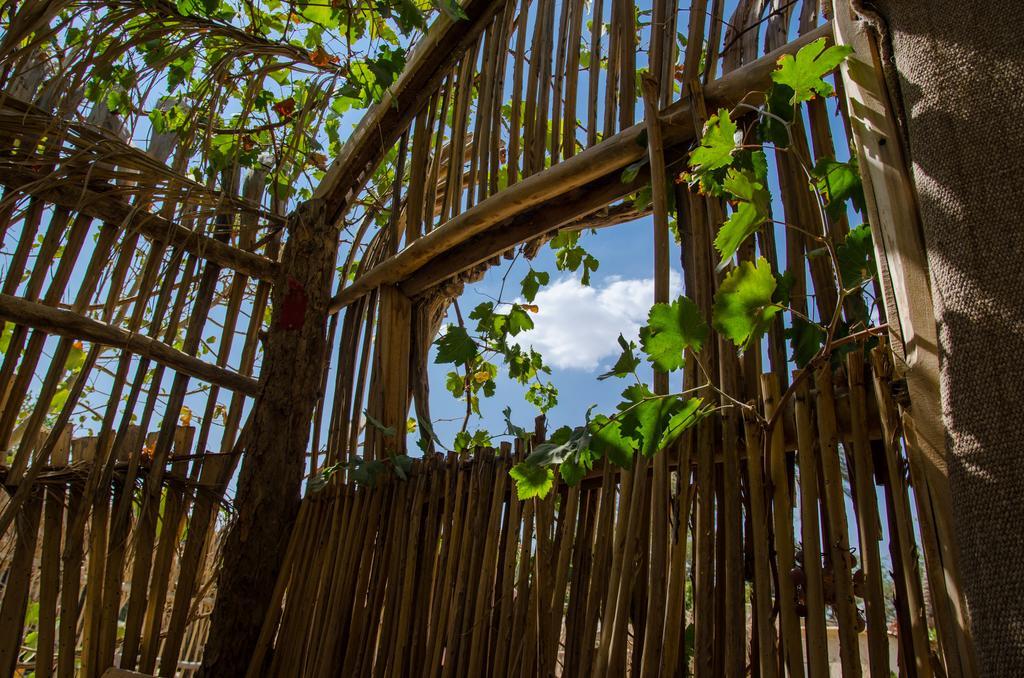 Kfar Hanokdim - Glamping & Camping Arad Eksteriør bilde